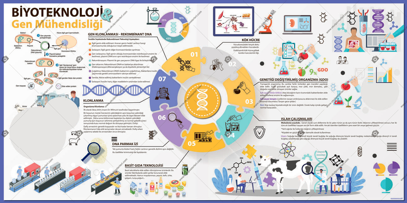 Biyoteknoloji ve Gen Mühendisliği Okul Posteri