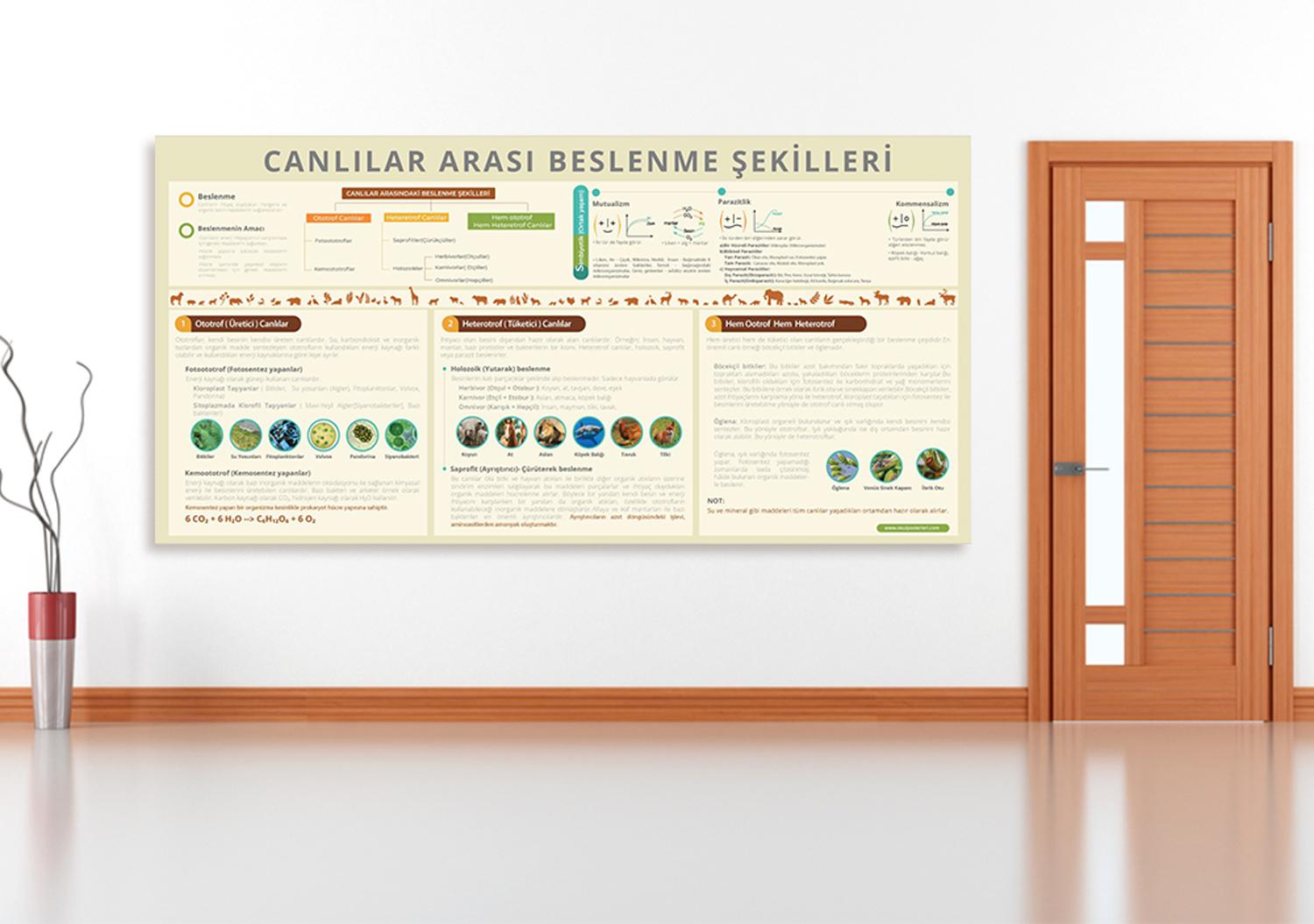 Canlılar Arası Beslenme Şekilleri Biyoloji Posteri